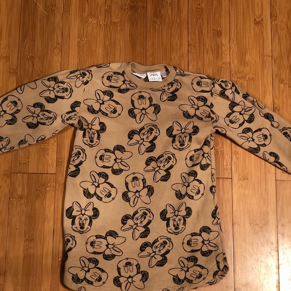 Zara Disney Sweater Dress